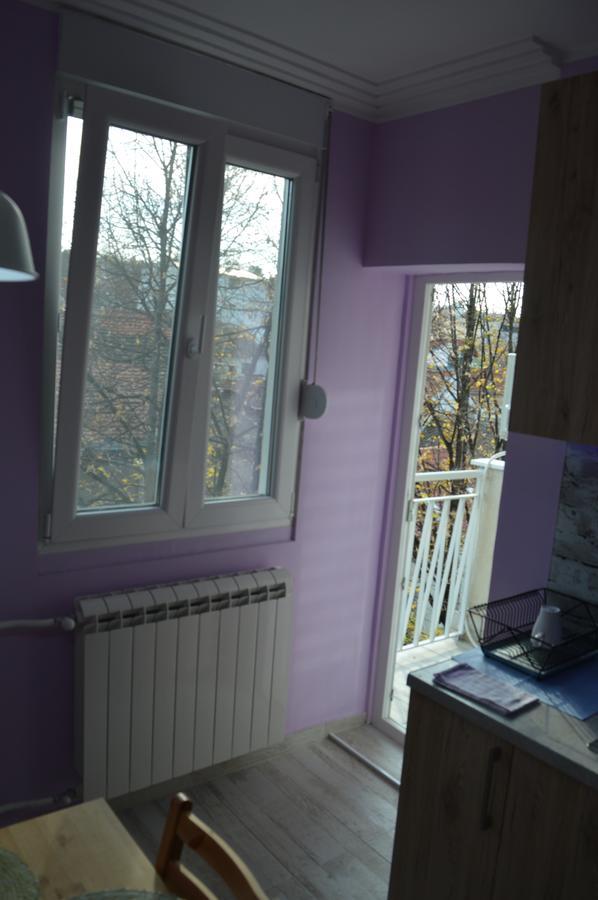 Apartman Gloria 2 Belgrado Exterior foto